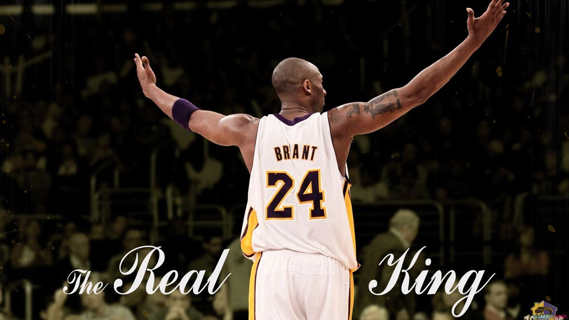 世界杯外围赛进入白热化,各国争夺宝贵出线名额