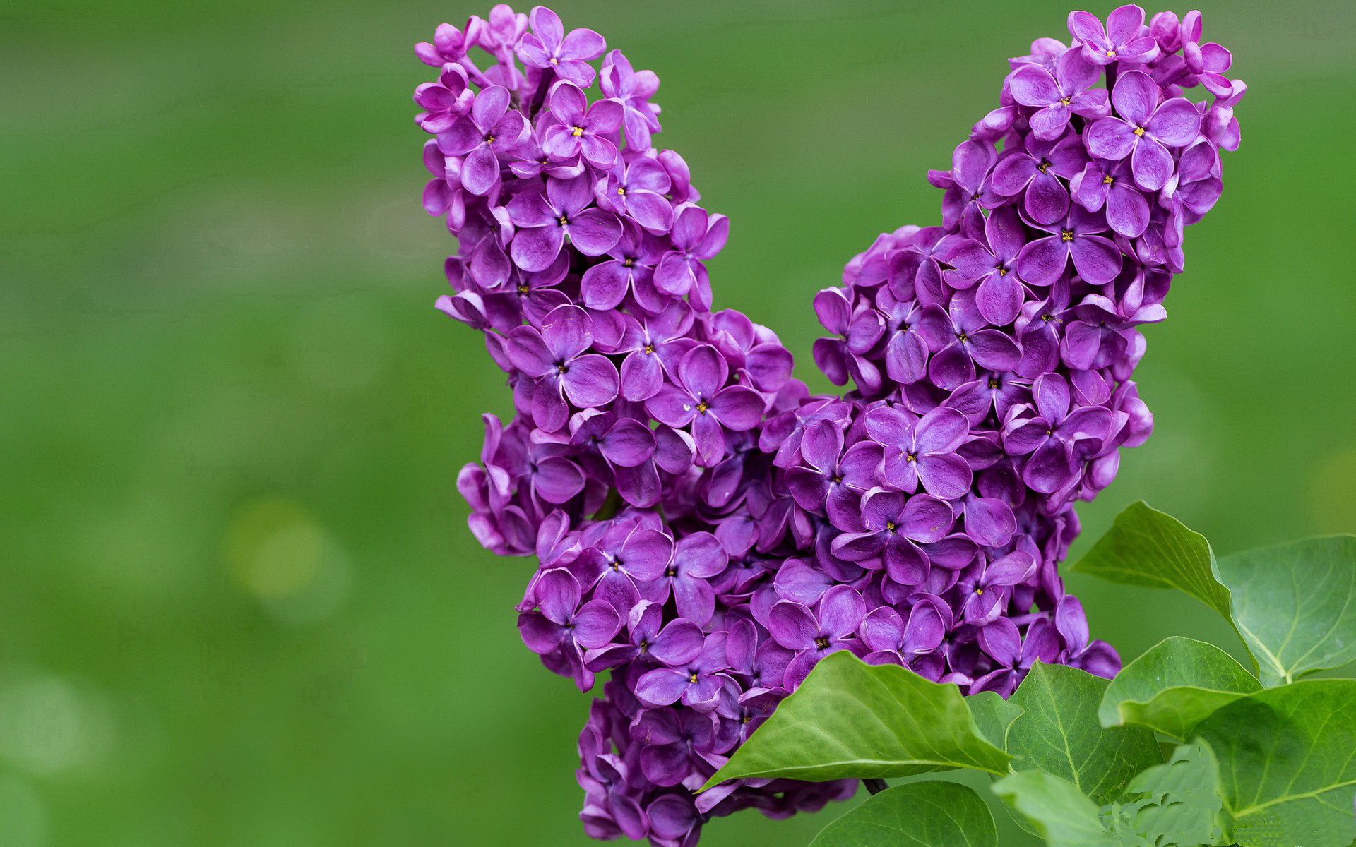 “边远地区青少年足球运动发展迅速,基层足球不断普及”,我国青少年足球发展现状