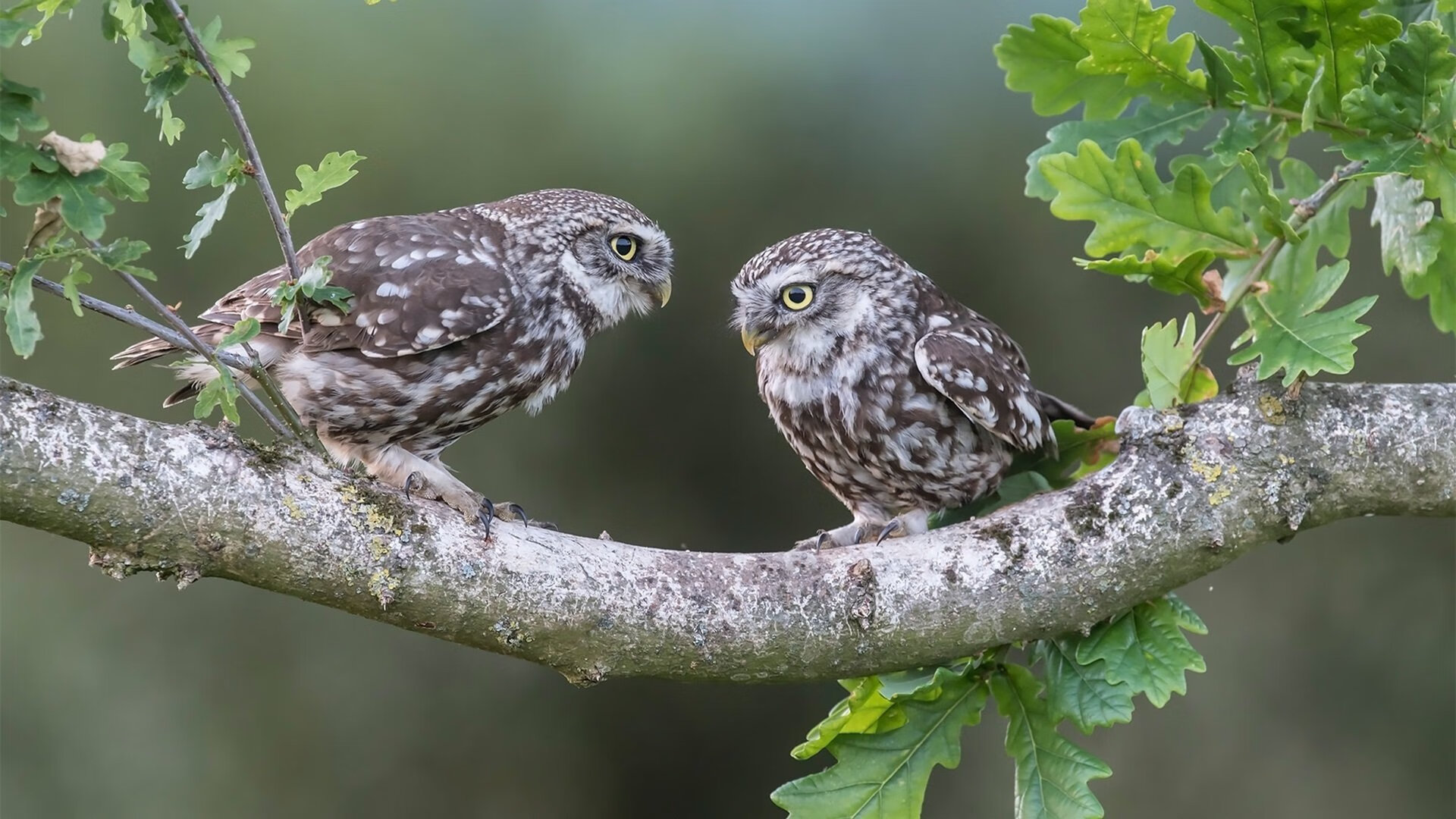 “青春扬帆”青少年篮球文化交流会在北京成功举办,推动行业合作