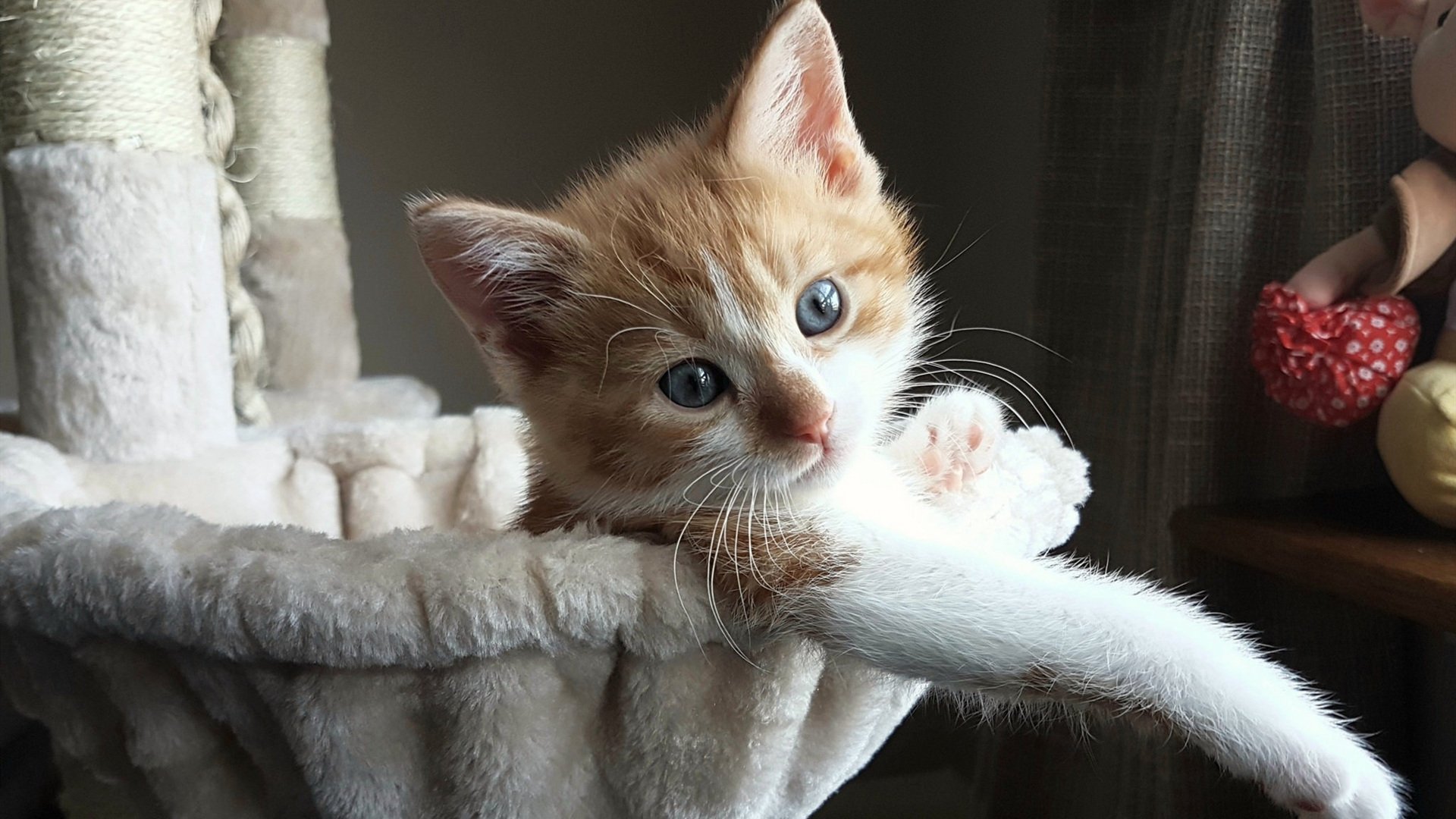 “青春扬帆”青少年篮球文化交流会在北京成功举办,推动行业合作