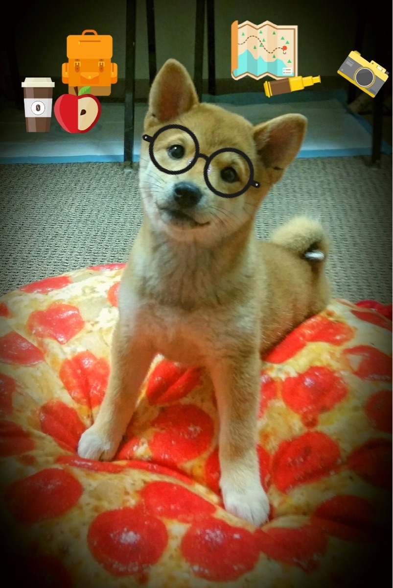 中国足球携手高校建设“足球+文化”创新平台,中国足球校园