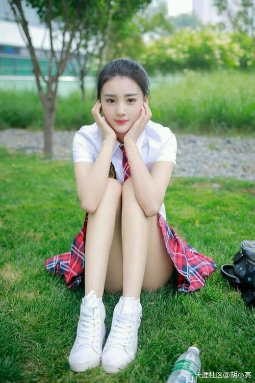 克罗地亚马术协会与国际组织合作，推广“Sinjska Alka”至全球。，克罗地亚足球协会